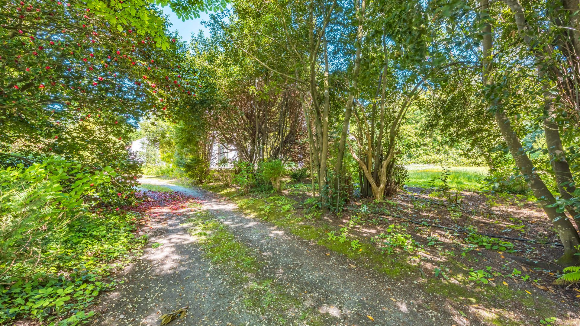 IMG_3103-HDR