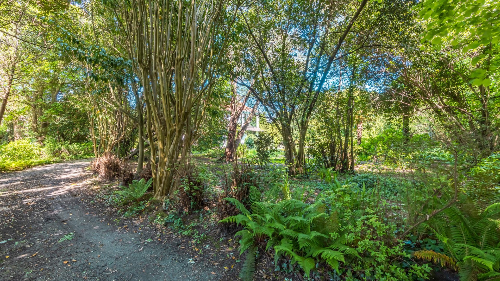 IMG_3108-HDR