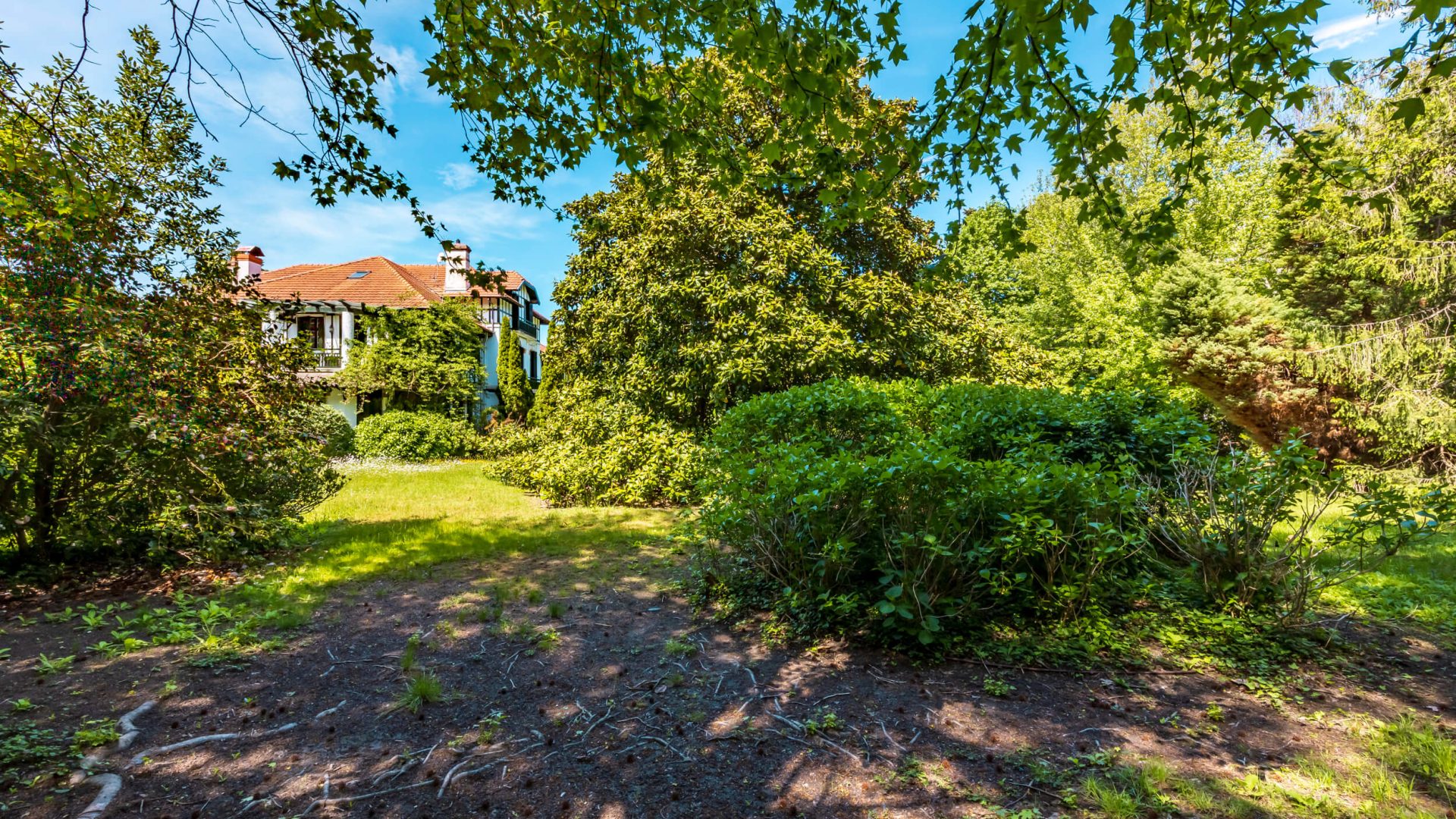 IMG_3118-HDR